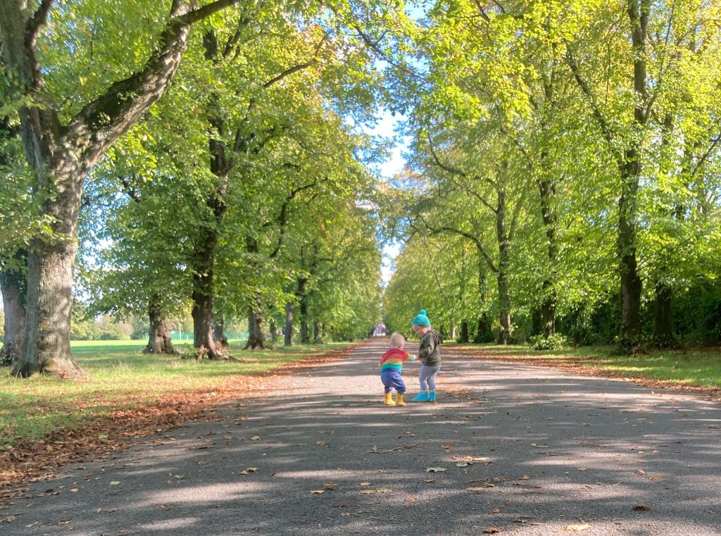 Will the bottom drawer&nbsp;do?