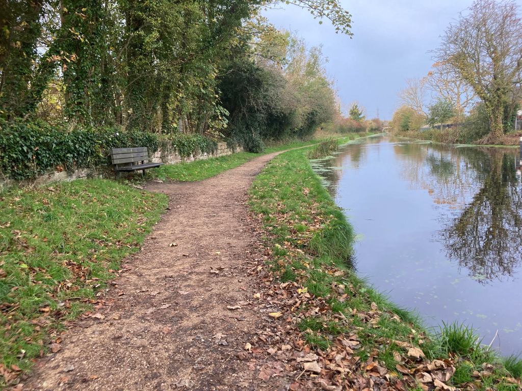 What is this stuff&nbsp;anyway???