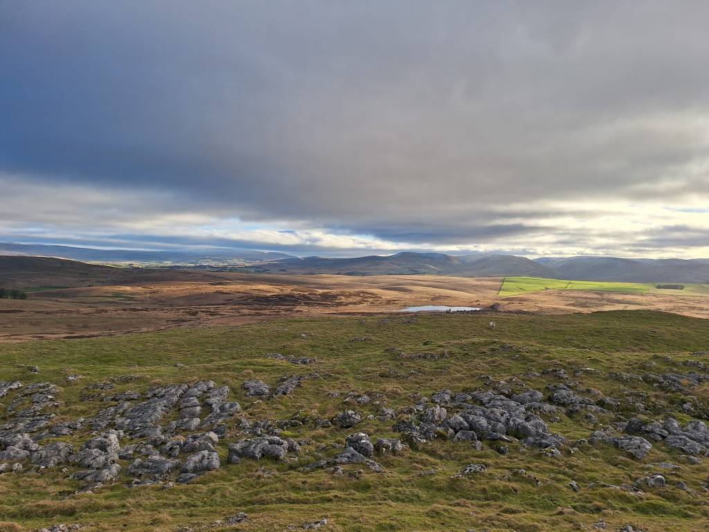 Have you lost your&nbsp;mind?